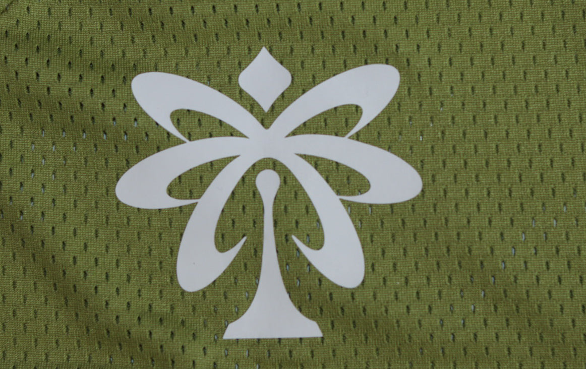 Amormode Classic Jersey