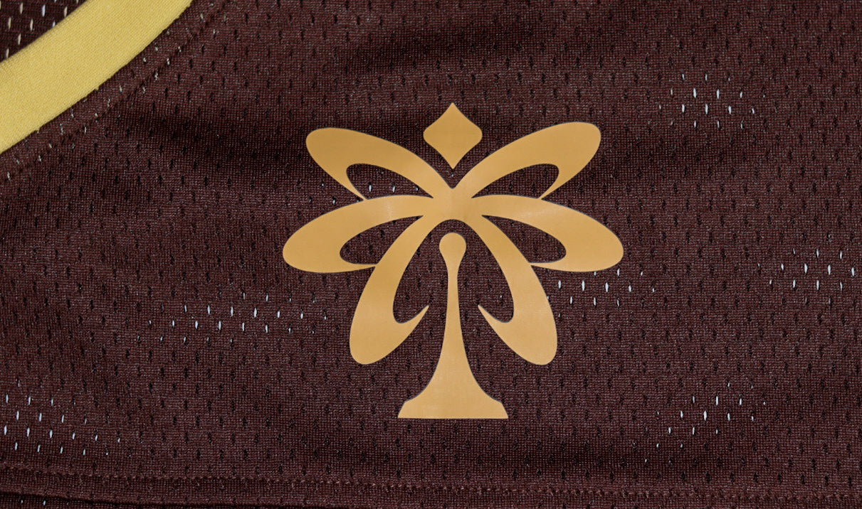 Amormode Classic Jersey